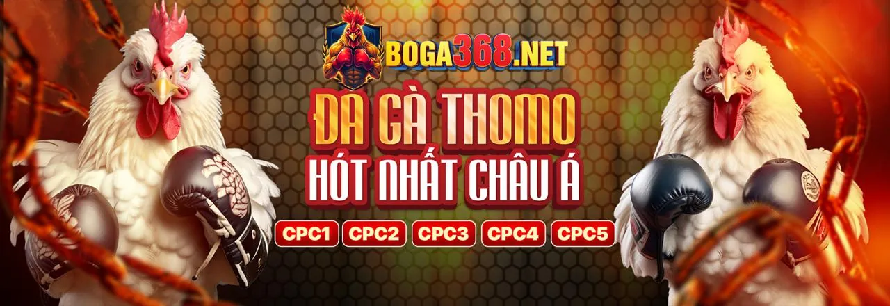 Biểu tượng bảo mật kỹ thuật số của RWIN, đảm bảo an toàn cho người chơi