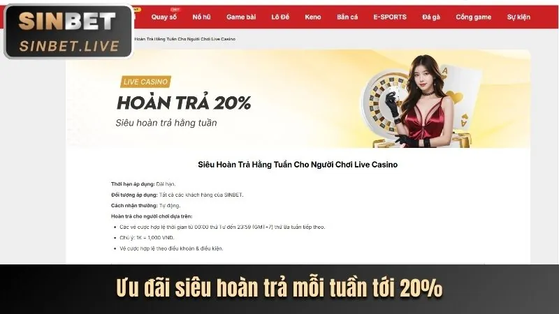 Các chương trình khuyến mãi và ưu đãi độc quyền dành cho thành viên RWIN